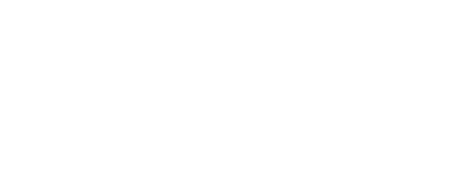 プロフェッショナルのための至高の一振りを